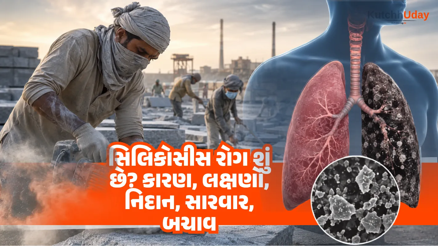 સિલિકોસીસ રોગ શું છે? કારણ, લક્ષણો, નિદાન, સારવાર, બચાવ