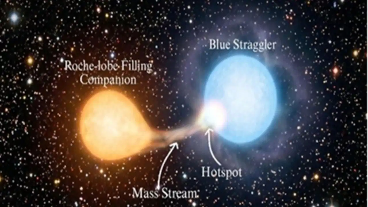 Blue Straggler Star Discovery