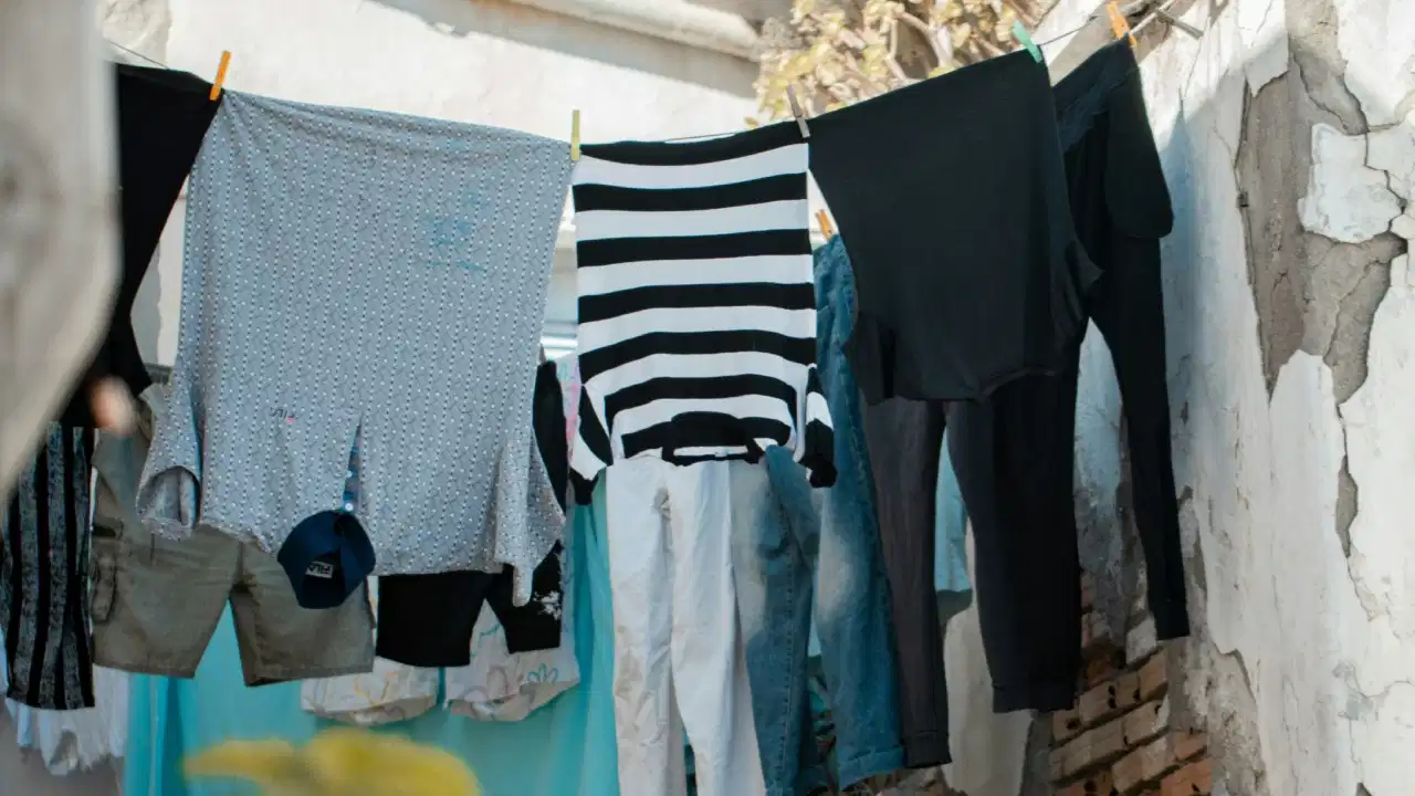 Vastu Tips for Drying Clothes: કપડા સુકવવાના વાસ્તુ નિયમો, આ નાની ભૂલો બની શકે છે આર્થિક નુકસાનનું કારણ