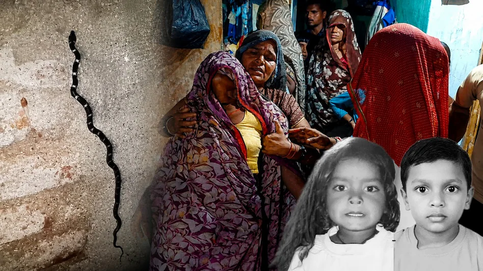 jhansi krait snake bite child death sister critical