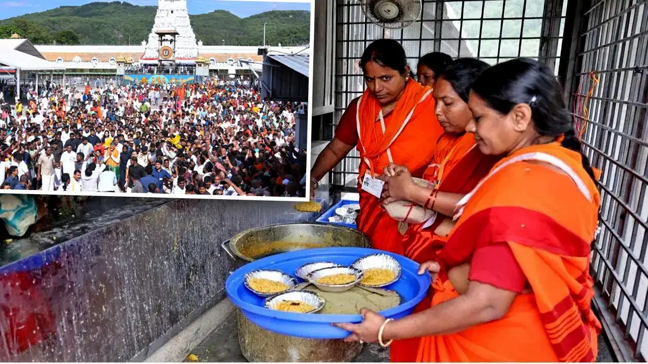 TTD Food Conveyor System, Tirumala Temple, Tirupati News, Balaji Temple, Tirumala Darshan, TTD Latest News